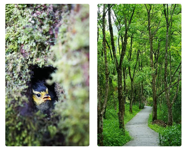 多彩貴州，魅力天下，2021年廣東博皓快樂(lè)貴州行-24