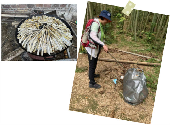 生命和綠色擁抱，人類與生態(tài)共存&mdash;&mdash;2023年廣東博皓公益活動   -6