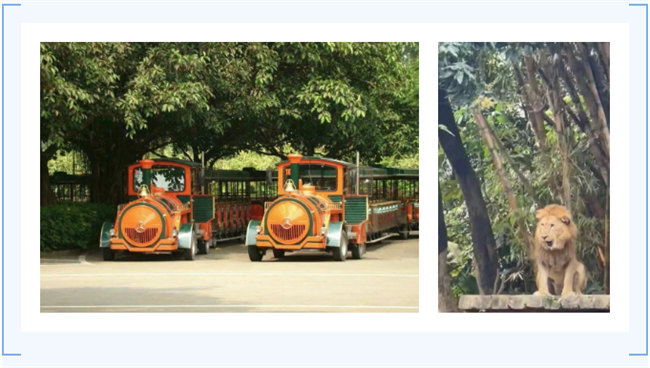 大手牽小手，快樂親子游！廣東博皓2023年親子游活動        -7