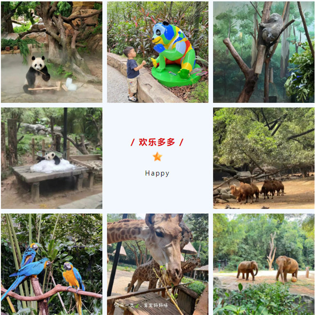 大手牽小手，快樂親子游！廣東博皓2023年親子游活動        -8